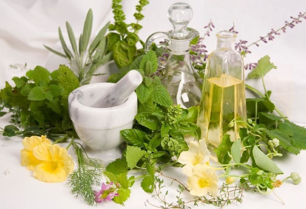 Herbs used to treat cervical osteochondrosis